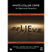 White-Collar Crime: An Opportunity Perspective
