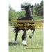 Joint Health: A Nutritional Perspective