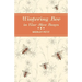 Wintering Bees in Four-Hive Boxes