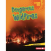 Dangerous Wildfires