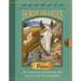 Horse Diaries #16: Penny