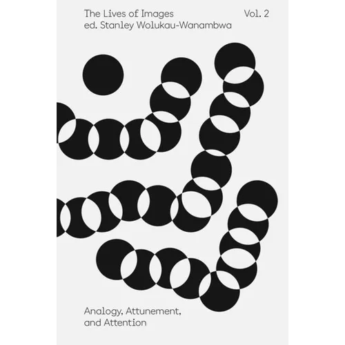 The Lives of Images, Vol. 2: Analogy, Attunement, and Attention