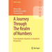 A Journey Through the Realm of Numbers: From Quadratic Equations to Quadratic Reciprocity