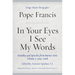 In Your Eyes I See My Words: Homilies and Speeches from Buenos Aires, Volume 2: 2005-2008