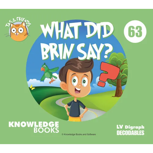 What Did Brin Say?: Book 63