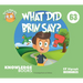 What Did Brin Say?: Book 63