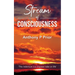Stream of Consciousness