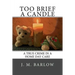 Too Brief A Candle: A True Crime in a Home Day Care