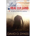 Lord, Heal Our Land: A Call to Prayer for America