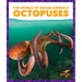 Octopuses