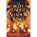 The Light Under the Shadow Wing