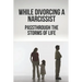 While Divorcing A Narcissist: Passthrough The Storms Of Life: When The Storms Of Life Rage