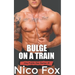 Bulge on a Train: A Gay Public Sex Story
