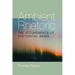 Ambient Rhetoric: The Attunements of Rhetorical Being