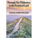 Through The Wilderness to the Promised Land: A healing journey with Jesus