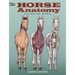 Horse Anatomy Coloring Book
