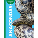 Curiosidad Por Las Anacondas