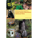 A Natural History Guide to Great Smoky Mountains National Park