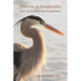 Histoire Et Geographie Des Avoyelles En Louisiane