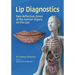 Lip Diagnostics: New Reflection Zones of the Human Organs on the Lips