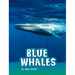 Blue Whales