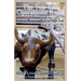 The Top Ten Operational Risks: A Survival Guide for Investment Management Firms and Hedge Funds