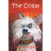 The Collar