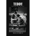 Teddy: Picture Me Perfect