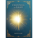 Channels of Light: Awakening Your Divine Purpose in a World