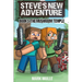 Steve's New Adventure Book 5: The Mushroom Temple