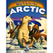 Way Up in the Arctic