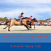 Beach Race Champion: A Marsh Tacky Tale