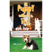 The Puppy Without a Tail