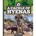 A Cackle of Hyenas