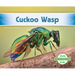 Cuckoo Wasp