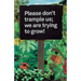 Please don't trample us; we are trying to grow