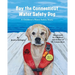 Bay the Connecticut Water Safety Dog: A Children's Water Safety Story