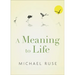A Meaning to Life