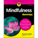 Mindfulness for Dummies