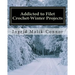 Addicted to Filet Crochet-Winter Projects