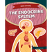 Endocrine System