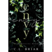 Envy: A Dark Romance Novel