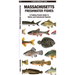 Massachusetts Freshwater Fishes