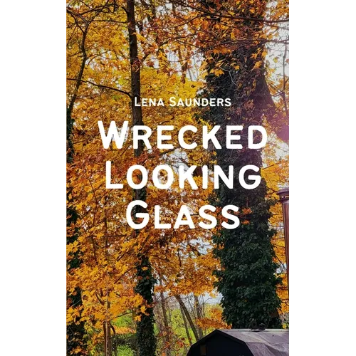 Wrecked Looking Glass