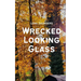 Wrecked Looking Glass