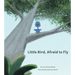 Little Bird, Afraid to Fly