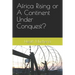 Africa Rising or A Continent Under Conquest?