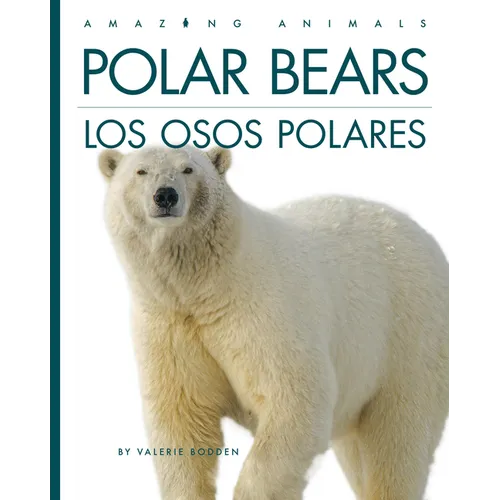 Polar Bears / Los Osos Polares