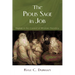 The Pious Sage in Job: Eliphaz in the Context of Wisdom Theodicy
