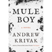 Mule Boy